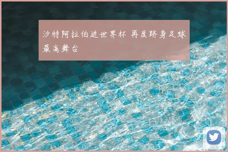 沙特阿拉伯进世界杯 再度跻身足球最高舞台