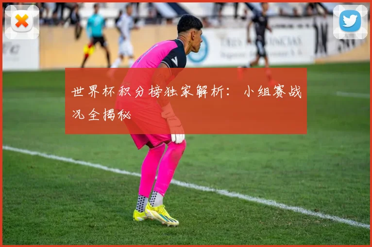 世界杯积分榜独家解析:小组赛战况全揭秘