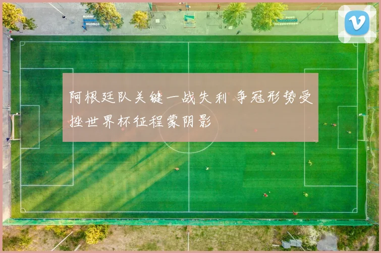 阿根廷队关键一战失利 争冠形势受挫世界杯征程蒙阴影