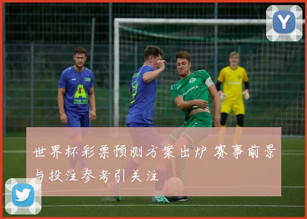 世界杯彩票预测方案出炉 赛事前景与投注参考引关注