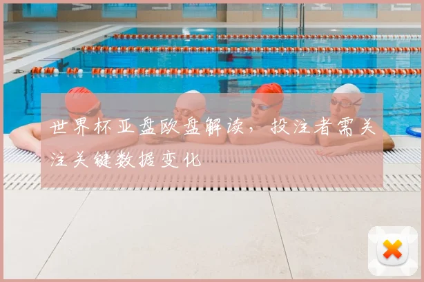 世界杯亚盘欧盘解读，投注者需关注关键数据变化