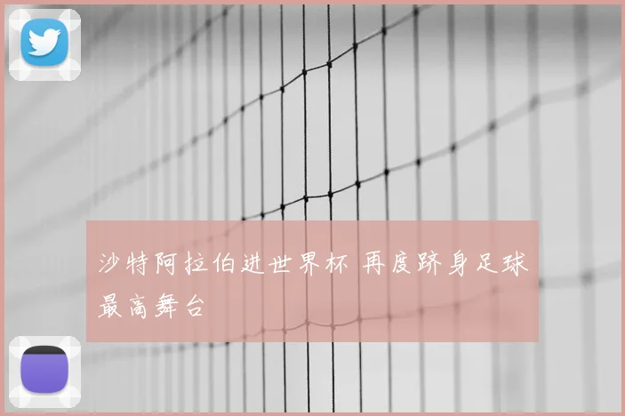 沙特阿拉伯进世界杯 再度跻身足球最高舞台