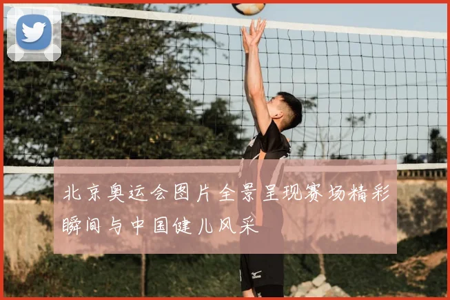 北京奥运会图片全景呈现赛场精彩瞬间与中国健儿风采
