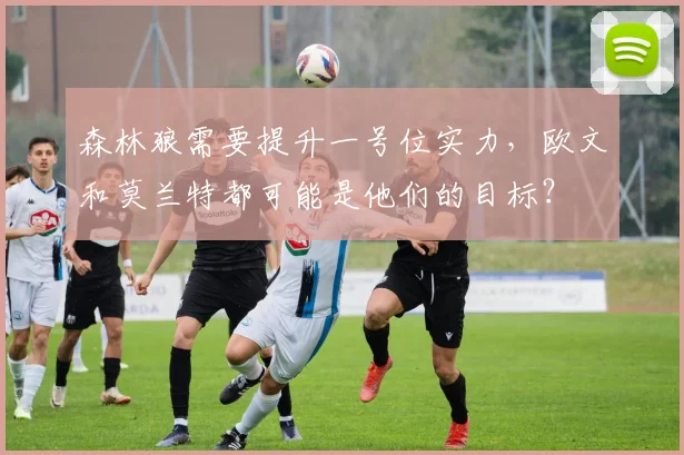 森林狼需要提升一号位实力，欧文和莫兰特都可能是他们的目标？