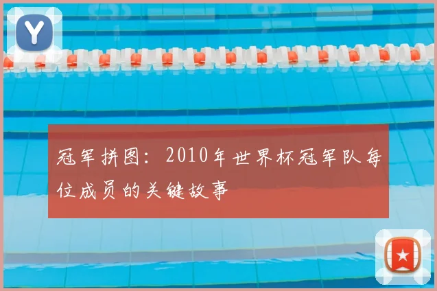 冠军拼图：2010年世界杯冠军队每位成员的关键故事