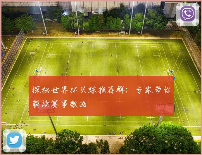 探秘世界杯买球推荐群:专家带你解读赛事数据