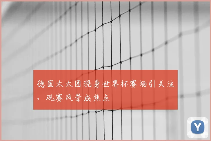 德国太太团现身世界杯赛场引关注，观赛风景成焦点