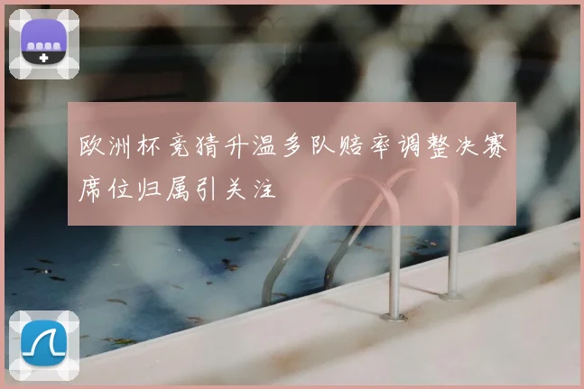 欧洲杯竞猜升温多队赔率调整决赛席位归属引关注